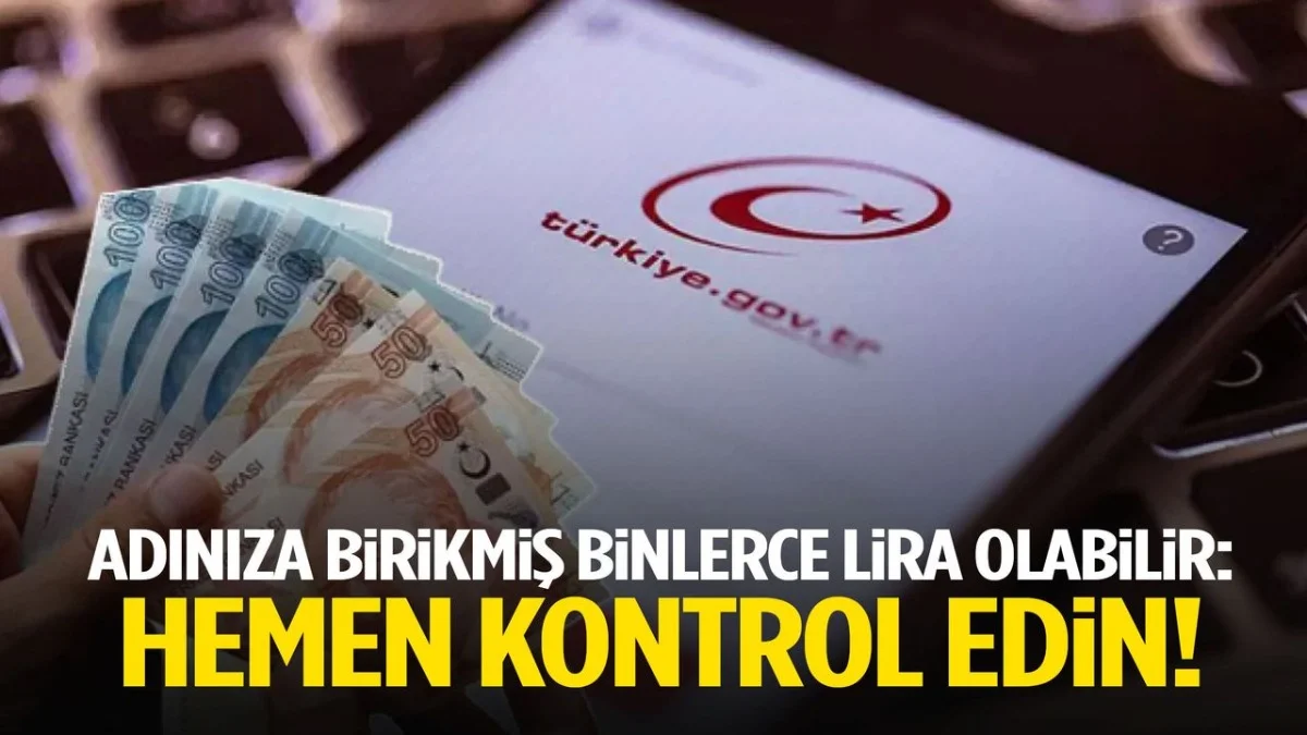 Binlerce Lira Hesabınızda Olabilir! e-Devlet’ten Sorgulama Başladı - Ekonomi Haberleri