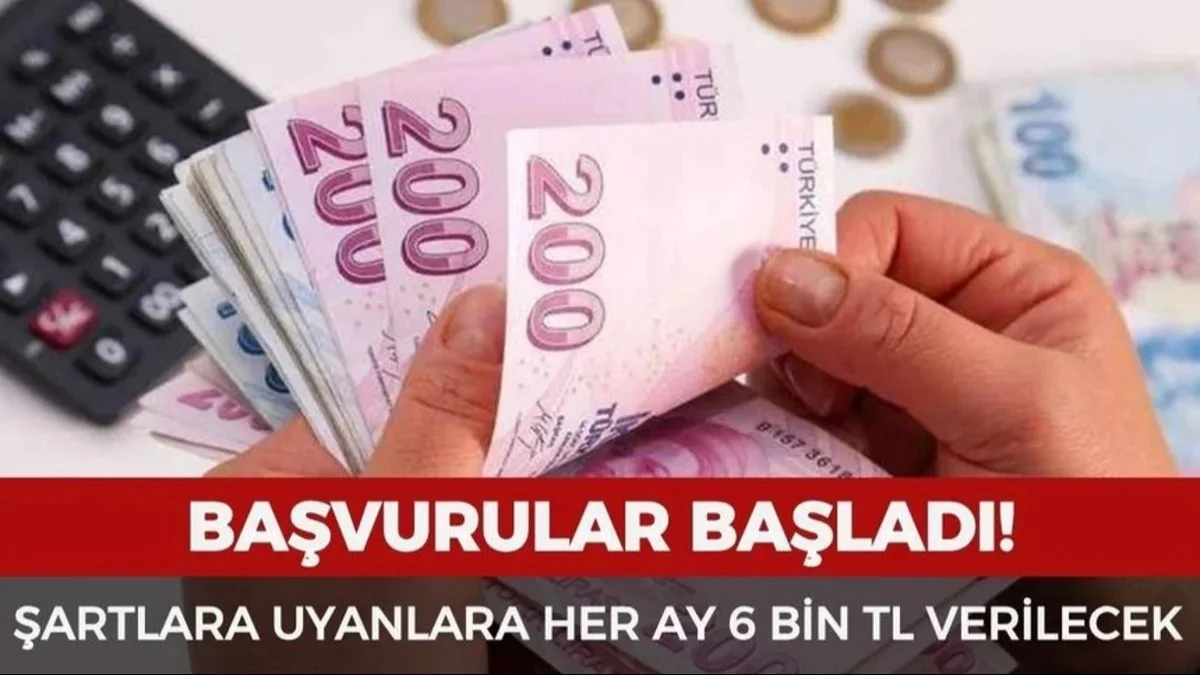 Devletten Aylık 6 Bin TL Destek! Başvurular Açıldı - Ekonomi Haberleri